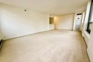 440 N Wabash Ave, Chicago, IL 60611 - Photo 7