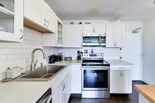 1460 N Sandburg Terrace, Chicago, IL 60610 - Photo 7