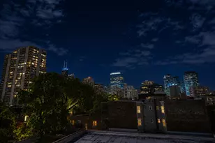 1429 N Wells St, Chicago, IL 60610 - Photo 23