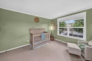 11149 Douglas Ave, Huntley, IL 60142 - Photo 11