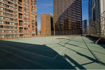 211 E Ohio Street #701, Chicago, IL 60611 - Photo 11