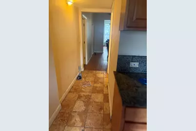 1132 S Sacramento Boulevard, Chicago, IL 60612 - Photo 11