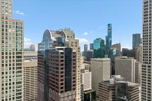 30 E Huron St, Chicago, IL 60611 - Photo 13