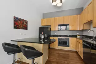 453 W Blackhawk St, Chicago, IL 60610 - Photo 7