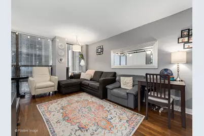 230 E Ontario Street #503, Chicago, IL 60611 - Photo 3
