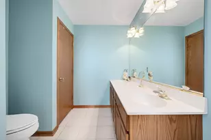 13839 Steeple View Ln, Lemont, IL 60439 - Photo 19