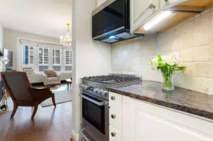 70 E Scott St, Chicago, IL 60610 - Photo 11