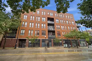 1610 S Halsted St, Chicago, IL 60608 - Photo 1