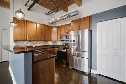 1610 S Halsted Street #408, Chicago, IL 60608 - Photo 5