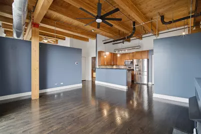 1610 S Halsted Street #408, Chicago, IL 60608 - Photo 7