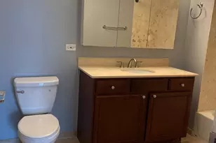 545 N Dearborn St, Chicago, IL 60654 - Photo 15