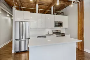 1017 W Washington Blvd, Chicago, IL 60607 - Photo 3