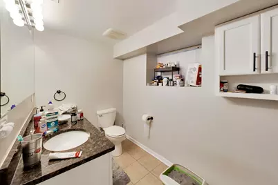 2102 W Belle Plaine Avenue, Chicago, IL 60618 - Photo 55