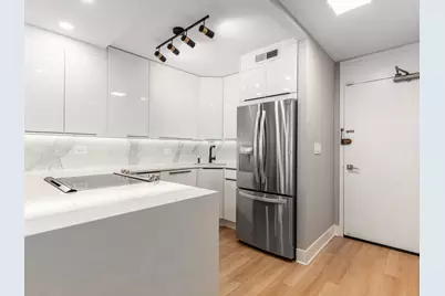 88 W Schiller Street #303L, Chicago, IL 60610 - Photo 7
