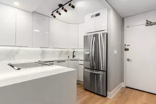 88 W Schiller St, Chicago, IL 60610 - Photo 7