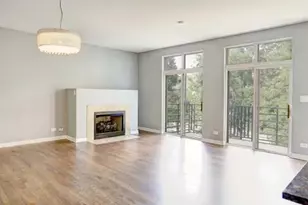 1033 E 46th St, Chicago, IL 60653 - Photo 3