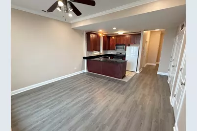 2513 W Congress Parkway #1, Chicago, IL 60612 - Photo 3