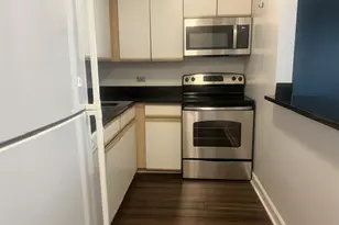 480 N McClurg Ct, Chicago, IL 60611 - Photo 3