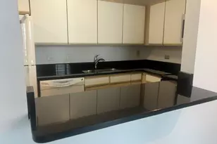 480 N McClurg Ct, Chicago, IL 60611 - Photo 7