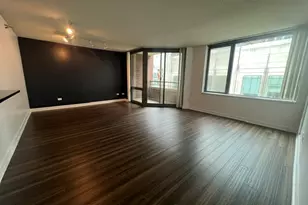 480 N McClurg Ct, Chicago, IL 60611 - Photo 9