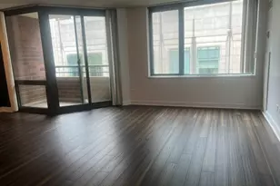 480 N McClurg Ct, Chicago, IL 60611 - Photo 11
