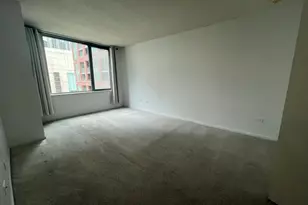 480 N McClurg Ct, Chicago, IL 60611 - Photo 17