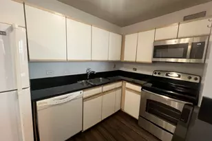 480 N McClurg Ct, Chicago, IL 60611 - Photo 5