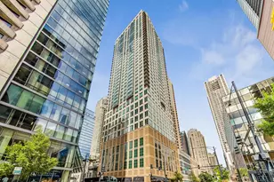 2 E Erie St, Chicago, IL 60611 - Photo 11