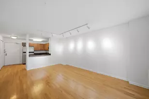 222 E Pearson St, Chicago, IL 60611 - Photo 3