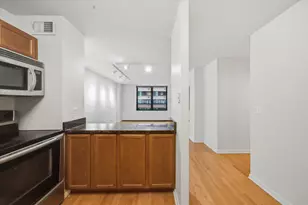 222 E Pearson St, Chicago, IL 60611 - Photo 9