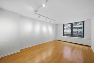 222 E Pearson St, Chicago, IL 60611 - Photo 7