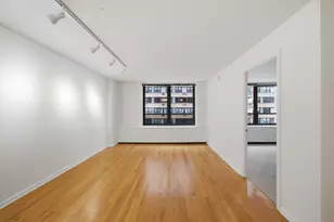 222 E Pearson St, Chicago, IL 60611 - Photo 5