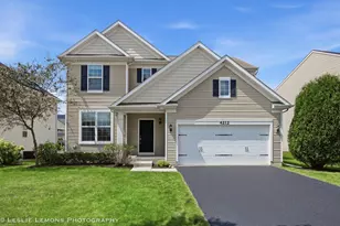4212 Fraser Cir, Naperville, IL 60564 - Photo 1
