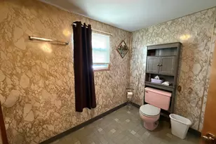 304 E Minnesota St, Spring Valley, IL 61362 - Photo 21