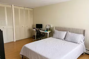 4623 N Chester Ave, Chicago, IL 60656 - Photo 9