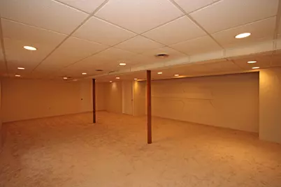 23428 W Mallard Court, Deer Park, IL 60010 - Photo 41