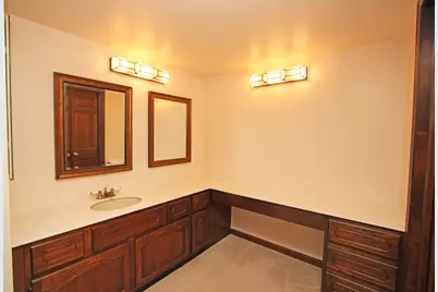 23428 W Mallard Court, Deer Park, IL 60010 - Photo 33