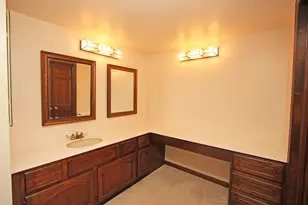 23428 W Mallard Ct, Deer Park, IL 60010 - Photo 33