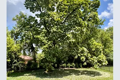 361 S Quentin Road, Palatine, IL 60067 - Photo 37