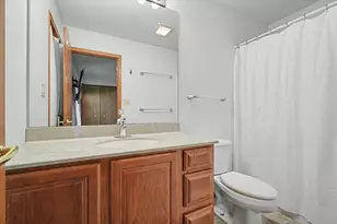 162 Iroquois Trail, Loda, IL 60948 - Photo 31