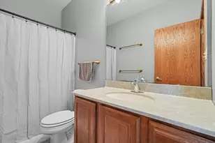 162 Iroquois Trail, Loda, IL 60948 - Photo 41