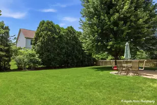 317 Talismon Dr, Crystal Lake, IL 60012 - Photo 23