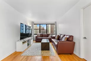 850 N Dewitt Pl, Chicago, IL 60611 - Photo 5