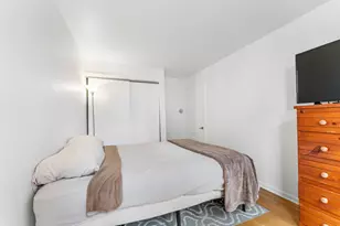 850 N Dewitt Pl, Chicago, IL 60611 - Photo 19