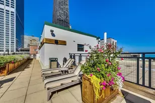850 N Dewitt Pl, Chicago, IL 60611 - Photo 29