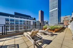850 N Dewitt Pl, Chicago, IL 60611 - Photo 27