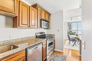474 N Lake Shore Dr, Chicago, IL 60611 - Photo 13
