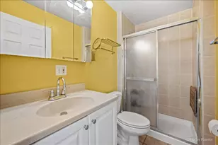 920 Beau Dr, Des Plaines, IL 60016 - Photo 19