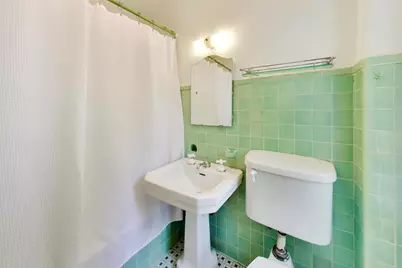 8844 S Pleasant Avenue, Chicago, IL 60643 - Photo 45