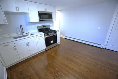 4950 W Kamerling Avenue, Chicago, IL 60651 - Photo 35